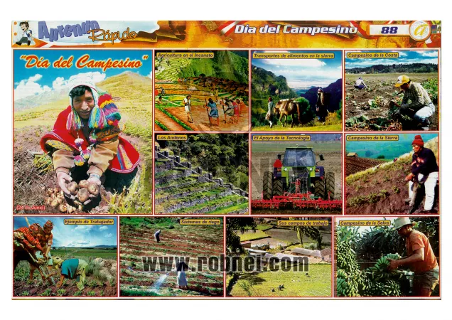Dia Del Campesino